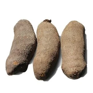 Yam