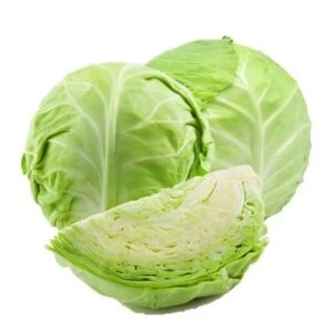 Cabbage