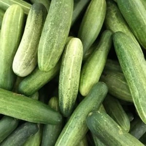Cucumbers