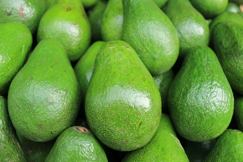 Avocado Pear